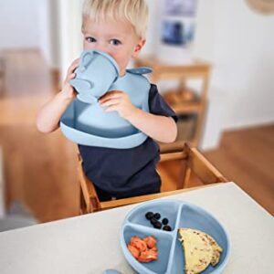 Baby Led Weaning - Silicone Baby Feeding Set - Baby Led Weaning Supplies - Baby Led Weaning Utensils - Silicone Plates For Baby - Silicone Bibs for Babies - 6 Month Old Baby Essentials - Baby Products