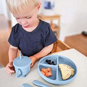 Baby Led Weaning - Silicone Baby Feeding Set - Baby Led Weaning Supplies - Baby Led Weaning Utensils - Silicone Plates For Baby - Silicone Bibs for Babies - 6 Month Old Baby Essentials - Baby Products