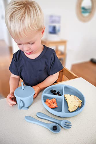 Baby Led Weaning - Silicone Baby Feeding Set - Baby Led Weaning Supplies - Baby Led Weaning Utensils - Silicone Plates For Baby - Silicone Bibs for Babies - 6 Month Old Baby Essentials - Baby Products