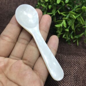 Caviar Spoons - EvaGO Mother of Pearl MOP Caviar Spoon W Round Handle 3.55 inch, 2 pack