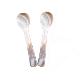 wenplus 2 pack 3.55inch caviar spoons handcraft mother of pearl mop caviar spoon w round handle with one plastic storage box - coffee color, style c