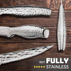 CHUIFU Steak Knives, Steak Knives Set of 4, 4.5 Inch Stainless Steel Serrated Steak Knife, Hammered Pattern Hollowed Handle, Steak Knife Set with Gift Box