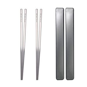 titanium chopsticks, 2 pairs of chopsticks with plastic case for sushi, noodles, rice, ramen & japanese cuisine.(9-inch) (2 pairs), gray