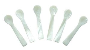 6 pcs hand craft shell caviar spoon 2.5 inches