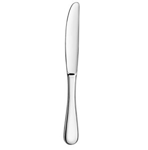 artaste 59335 rain 18/10 stainless steel dinner knife, 9.15-inch, set of 12, silver