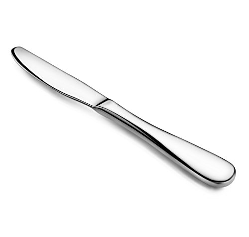 Artaste 59335 Rain 18/10 Stainless Steel Dinner Knife, 9.15-Inch, Set of 12, Silver