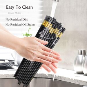 10 Pairs Reusable Chopsticks Dishwasher Safe,9.5 Inch Fiberglass Chop Sticks Multipack Metal Japanese Korean Chopsticks for food