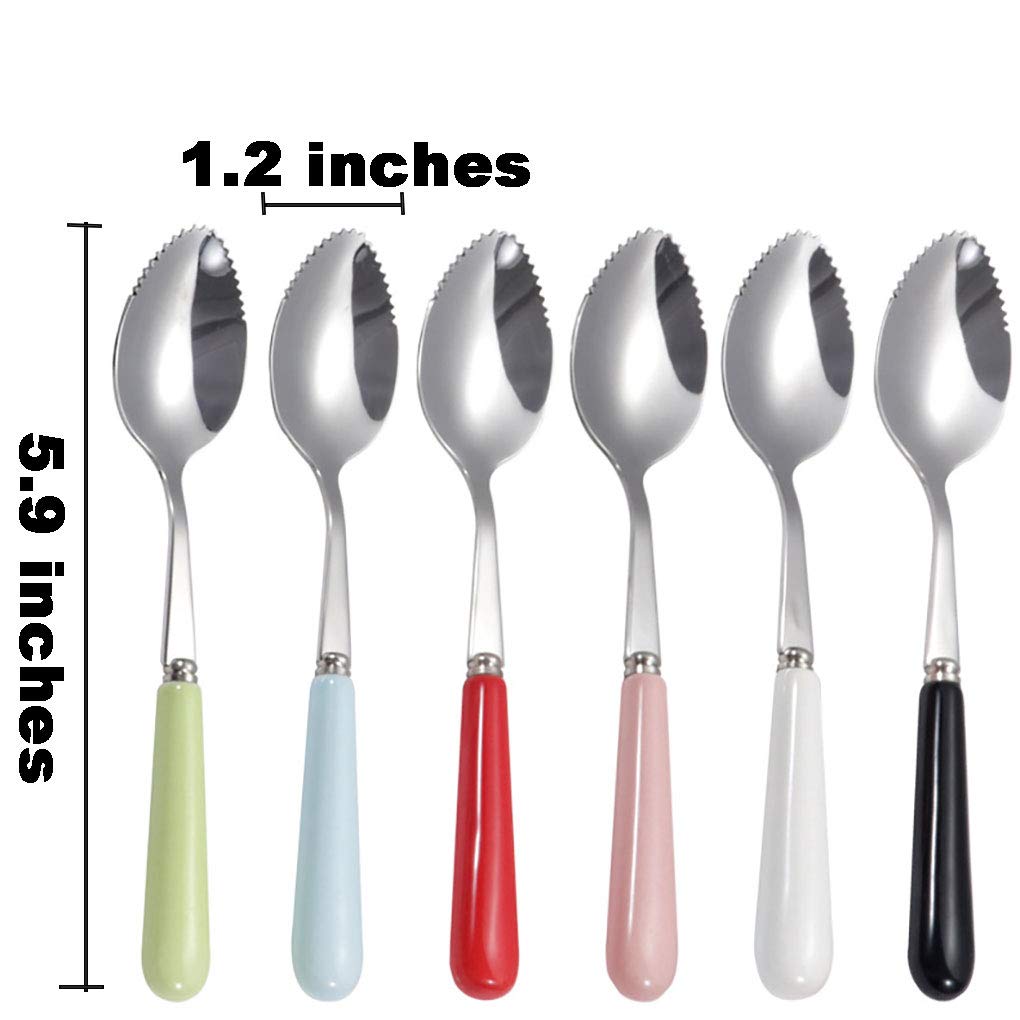 Goeielewe Set of 6 Grapefruit Spoons with Round Serrated Edges, Stainless Steel Serrated Spoon with Multicolor Ceramic Handle, Kiwi Apple Citrus Fruit, Dessert Spoon Sets (Silver)