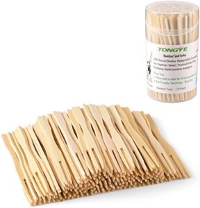 tongye banboo forks 3.5 inch 110 pcs & bamboo toothpicks 3.5 inch 340 pcs
