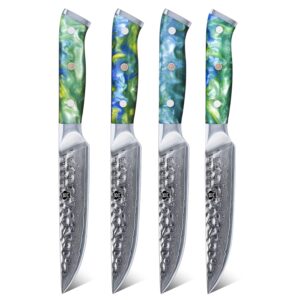 wildmok steak knives set of 4 damascus steel steak knives 5 inch ultra sharp serrated steak knife set with resin handle kitchen knives set with gift box