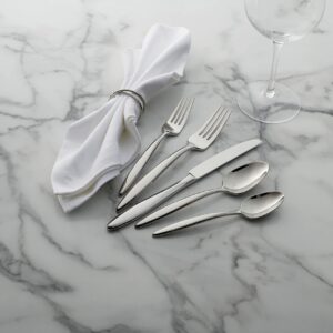 Oneida T1001020Al20 Tweak 20 Piece Fine Flatware Set, Service For 4