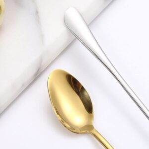 Stainless Steel Spoon, Soup Spoon,Mirror Finish Spoons,Kitchen Serving Spoons,Coffee spoon，Dessert Spoon, Ice Cream Spoons for Soup Rice Tea Milk Coffee Dessert (5 PCS,bright color)