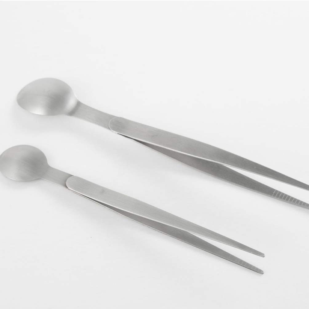 Cabilock Stainless Steel Tasting Spoon Tongs Chef Taste Spoon Espresso Spoons for Dessert Tea Appetizer 17.5x2cm
