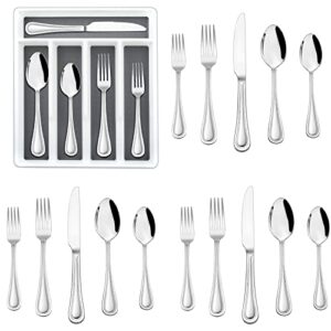 20-piece silverware set with drawer organizer, haware stainless steel flatware service for 4, modern tableware cutlery with pearled edge, eating utensil for home, mirror polished, dishwasher safe