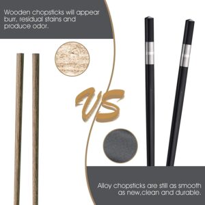 Crownyard -10 Pairs Fiberglass Chopsticks,Reusable Chop sticks Dishwasher Safe, Non-slip, 9 1/2 inch (Simple Silver)