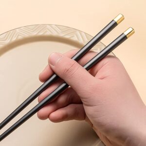 8 Pairs Fiberglass Chopsticks-Reusable Chopsticks Dishwasher Safe, 9.57 inch/24.3cm Matte Non-Slip Japanese Chinese Family/ Hotel/ Restaurant Chop Sticks, Hair ChopStick Gift Set, Black