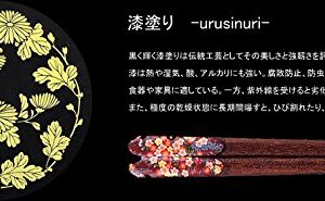 Isso chopsticks paint chopsticks HimeSakura 20.5cm