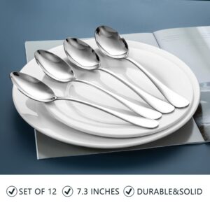 SANTUO Stainless Steel Dinner Spoons Set,12 Piece 7.3" Spoons Silverware,Table Soup Spoons Set,Mirror Finish & Dishwasher Safe