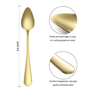 5 PCS Grapefruit Spoons, Stainless Steel Grapefruit Spoon Utensil Set, Serrated Edge & Thick Gauge Handle, Gold Kitchen Tool with Non-stick Plating for Kiwi, Dessert, Apple, Citrus Fruit