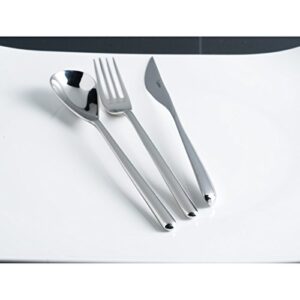 Fortessa Dragonfly 18/10 Stainless Steel Flatware 5 Piece Place Setting