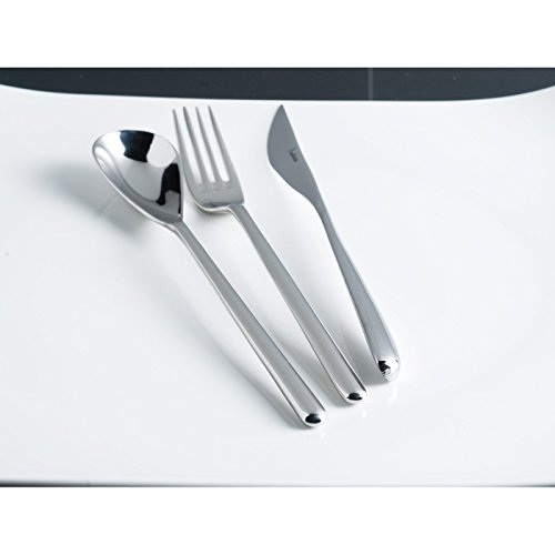 Fortessa Dragonfly 18/10 Stainless Steel Flatware 5 Piece Place Setting