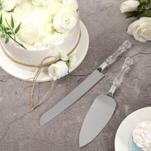 efavormart stainless steel knife & server set with clear acrylic handle - box for wedding, birthday, upscale occasions, special events, hotels, restaurants