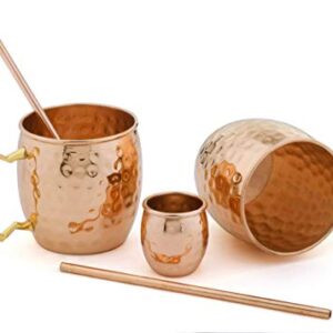 ARTISANS VILLAGE Moscow Mule Mugs | Set of 2 | 100% Pure Copper Solid Mugs | Gold Brass Handles | Size 16 oz | BONUS: Premium Straws and Shot Glass