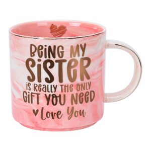 hendson sister birthday gifts for women - funny sister gag gift for her - mothers day, christmas, sorority, unbiological sisters, big sis mug - being my sister is the only gift you need - 11.5oz cup