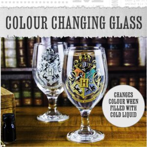 Harry Potter Color Change Tumbler Glass - Officially Licensed Merchandise