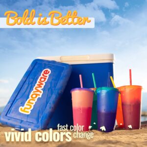 Color Changing Cups with Lids and Straws for Adults - 5 x 24oz Reusable Cups with Lids and Straws, Bulk Plastic Cups with Lids and Straws for Kids Women, Cold Iced Coffee Cups & Party Water Tumbler