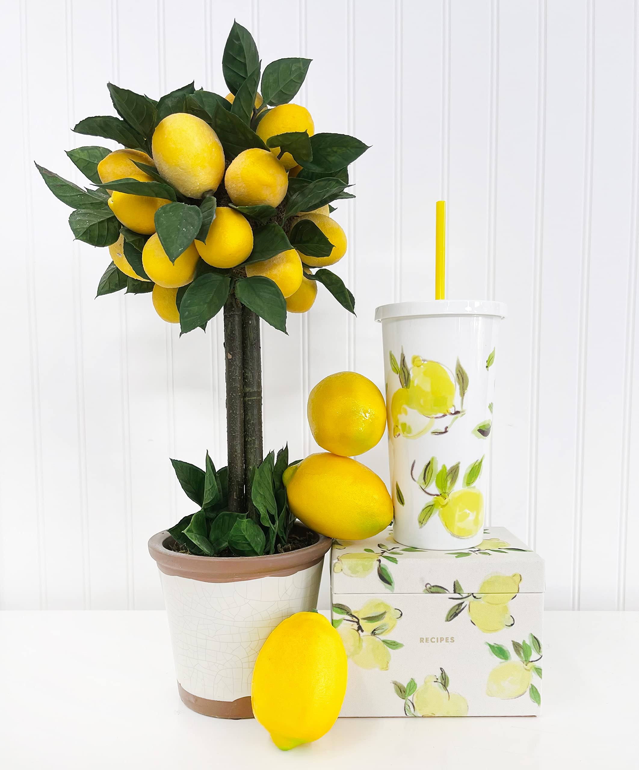 Kate Spade New York Insulated Tumbler with Reusable Straw, 20 Ounce Travel Cup with Lid, Lemons