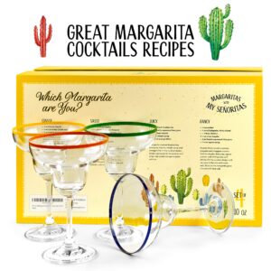 10 oz Margarita Cocktail Glasses + Colorful Party Rims | Set of 4 | Classic Frozen Drinks Stemware + Fun Cactus Gift Box | Thick Stem, Heavy Duty, Clear Hand Blown Glassware Drinking Set