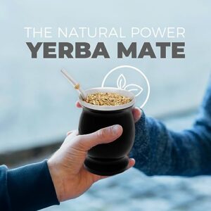 BALIBETOV Mate - Original Yerba Mate Cup, Yerba Mate Gourd with 2 Bombilla Mate - Complete Yerba Mate Set Kit includes Mate Cup and Bombilla Set, Yerba Mate Kit Set with Yerba Mate Tea Straw (Black)