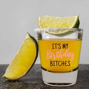 LitGifts Its My Birthday Shot Glass - 21st Birthday Gifts for Her - Birthday Glasses for Women - 1.75 Ounce