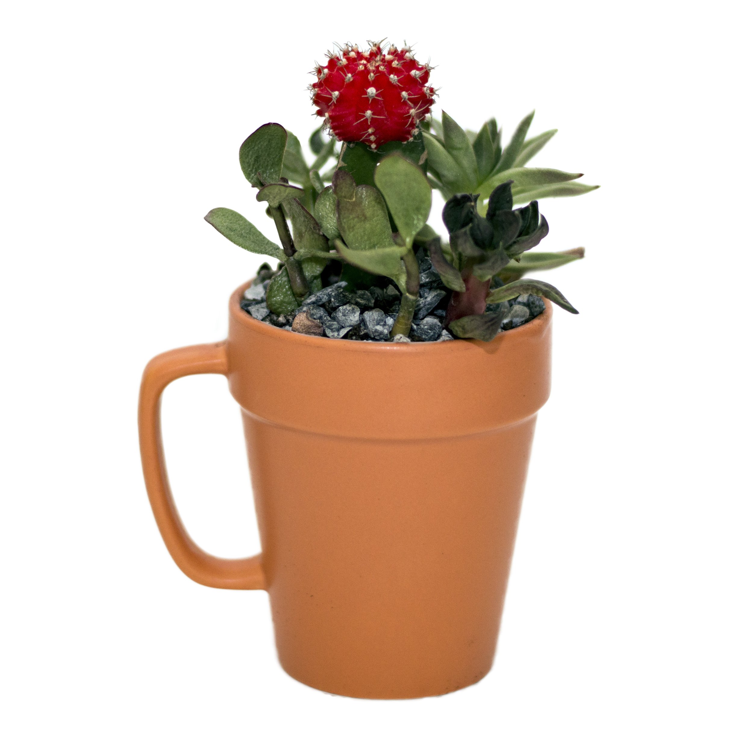 Culver 14-ounce Flower Pot Ceramic Mug, Set of 2 (Terra Cotta Color)