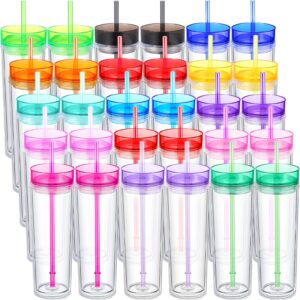 hoolerry 30 pcs acrylic skinny tumblers 16 oz acrylic tumblers with lids and straws double wall plastic tumbler skinny tumbler plastic skinny tumblers bulk for drink party birthday gifts, multicolor