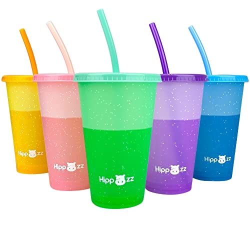 Hippozz Plastic Tumblers with Lid & Straw 5 Pack 16 Oz Color Changing Cups with Lids & Straws Colorful Tumblers with Straw BPA Free Kids Cups with Lids for Parties Reusable Coffee Cups