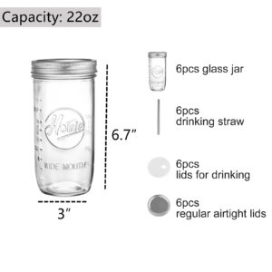 Dicunoy 6 Pack 24oz Glass Smoothie Cups, Reusable Boba Tea Cups with Lids and Straws, Wide Mouth Iced Coffee Cups Tumbler, Mason Jars for Iced Beverage, Juice, Jam, Honey, Travel Drinking