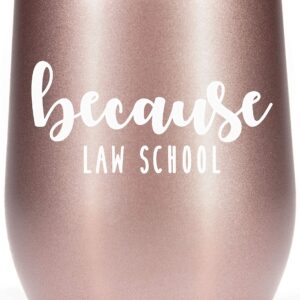 Law School Graduation Gifts - 12oz Wine Glass Tumbler Cup - Funny Gift Idea for Law Student, New Lawyer, Future Attorney, Because Law School Coffee Mug