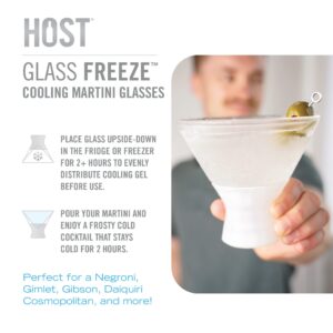 Host Stemless Martini Glasses, Cocktail Glasses, Double Walled Insulated Drinking Glass, Frozen Cups to Keep Your Drinks Cold, Set of 2