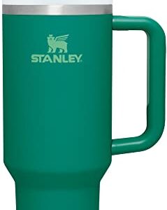 Stanley Quencher H2.0 FlowState Stainless Steel Vacuum Insulated Tumbler with Lid and Straw for Water, Iced Tea or Coffee, Smoothie and More, Alpine, 40 oz