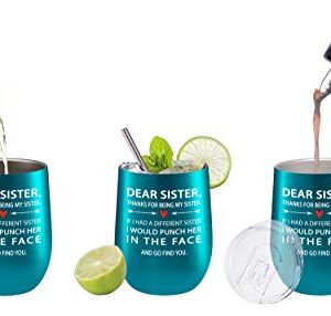 Fancyfams Sisters Gifts from Sister 12oz Tumbler, Birthday Gifts for Sister, Gifts for Sister from Brother - (Find You Sister - Turquoise)