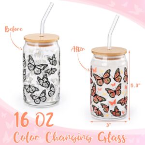 Nefelibata Monarch Butterfly Beer Can Glass Color Changing Iced Coffee Glass 16 OZ Orange Butterflies Art Glass Mug Present with Lid Drinking Straw Spring Summer Memorial Gifts for Mom Aunt Friend