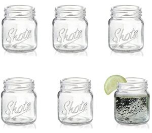 palais glassware palais 'shots' mason jar shot glasses - mini shot glass cups - holds 2.4 oz - set of 6 (clear)