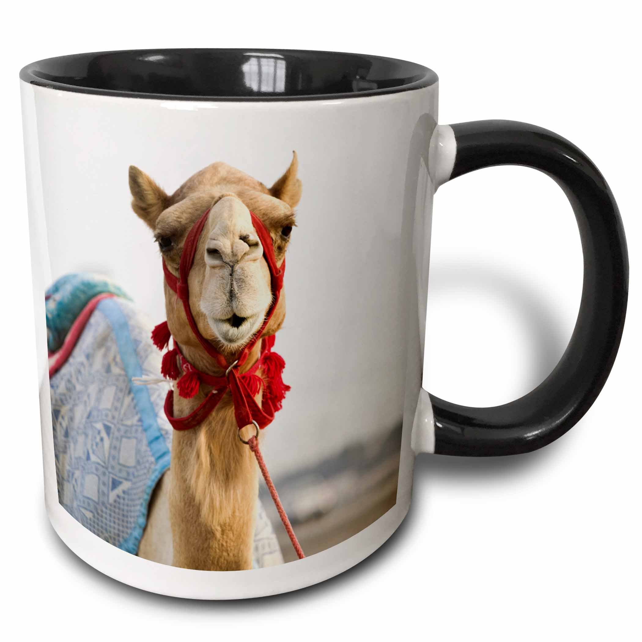 3dRose mug_70914_4 "UAE, Dubai, Al Marqadh. Dubai Camel Racing Track-AS44 WBI0141 - Walter Bibikow" Two Tone Black Mug, 11 oz, Multicolor