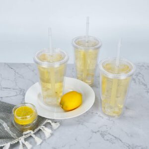 12 Pack Clear Insulated Tumblers, Plastic Tumbler Cups, Double Wall Tumblers, 16Oz Acrylic Insulated Tumbler Cups with Lid and Reusable Straw