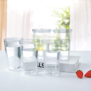 12 Pack Clear Insulated Tumblers, Plastic Tumbler Cups, Double Wall Tumblers, 16Oz Acrylic Insulated Tumbler Cups with Lid and Reusable Straw