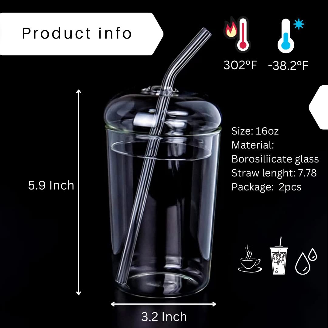 2 Pcs set Glass Cups with Lids and Straws 16oz - Coffee Ice Tea Water Boba Tea Smoothie Cocktail Reusable Clear Glass Drinking Cup with Dome Lid and Glass Straw - Hot & Cold Dishwasher safe