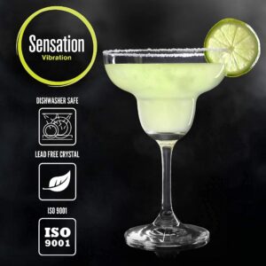 Season STORY Large Margarita glasses Set of 2-10oz, Cocktail glasses with stem, Crystal glassware for frozen margaritas, martini, mixing cocktails, gin and tonic glasses, gin glasses for gin lovers