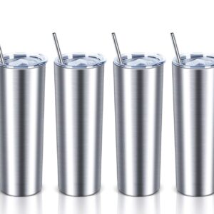 Wzaytia 20 Oz Skinny Tumbler Set, Skinny Stainless Steel Tumbler Set with Lids, Insulated Skinny Slim Water Tumbler for Diy, Silver